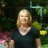 Donna Woodworth - @058720d5bb4c434 Twitter Profile Photo