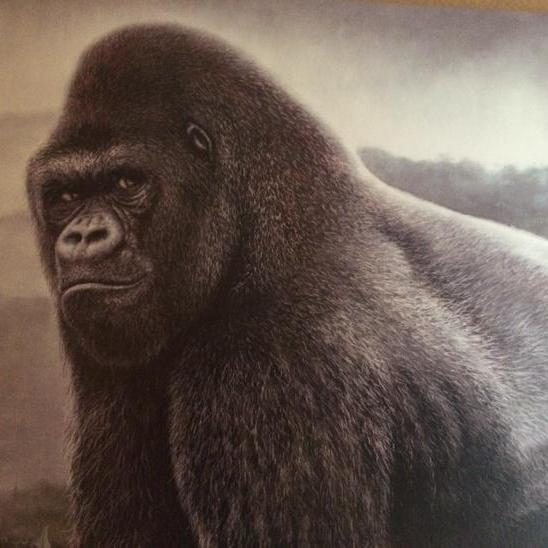 Silently judging you