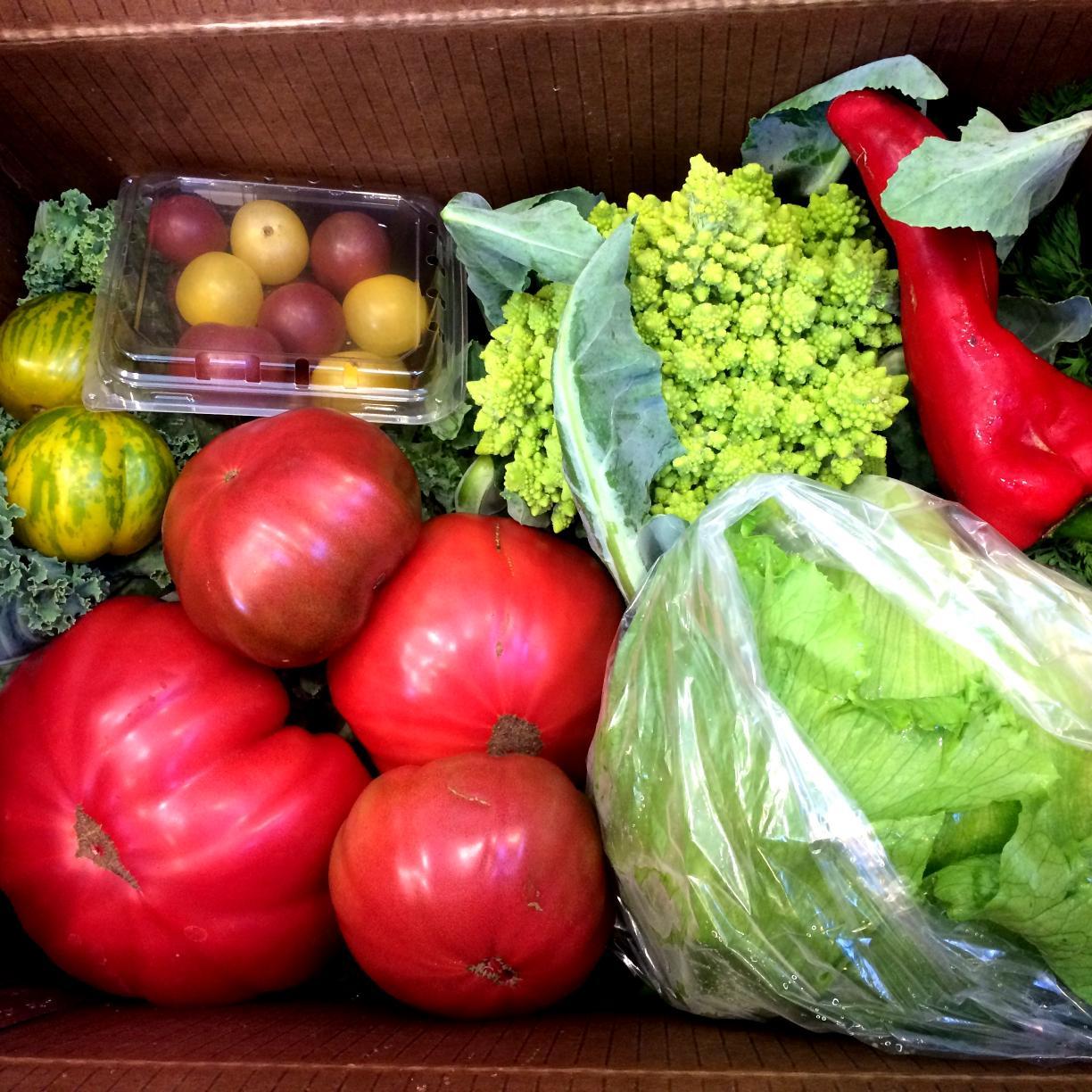 verdefarmmarket's profile picture. THE VERDE FARMERS' MARKET & CAFE IS OPEN 11AM-3PM, TUE-SAT. 12690 SW 280th St. Ph:305-257-2005 Wholesale farm product inquiries: verdefarm@urbanoasisproject.org