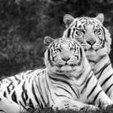 manuel barbero - @manuelbarbero5 - Twitter