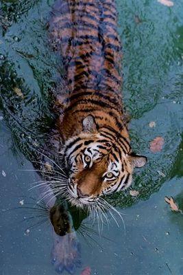 On peut allumer des milliers de bougies a partir d une seule bougie sans en abreger la vie. On ne diminue jamais le bonheur en le partageant. Boudha