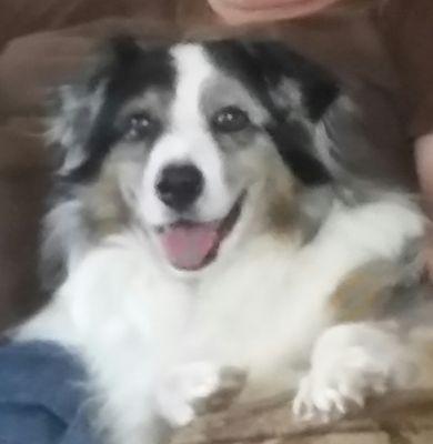 DougherU's profile picture. 