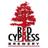 RedCypressBeer's profile image