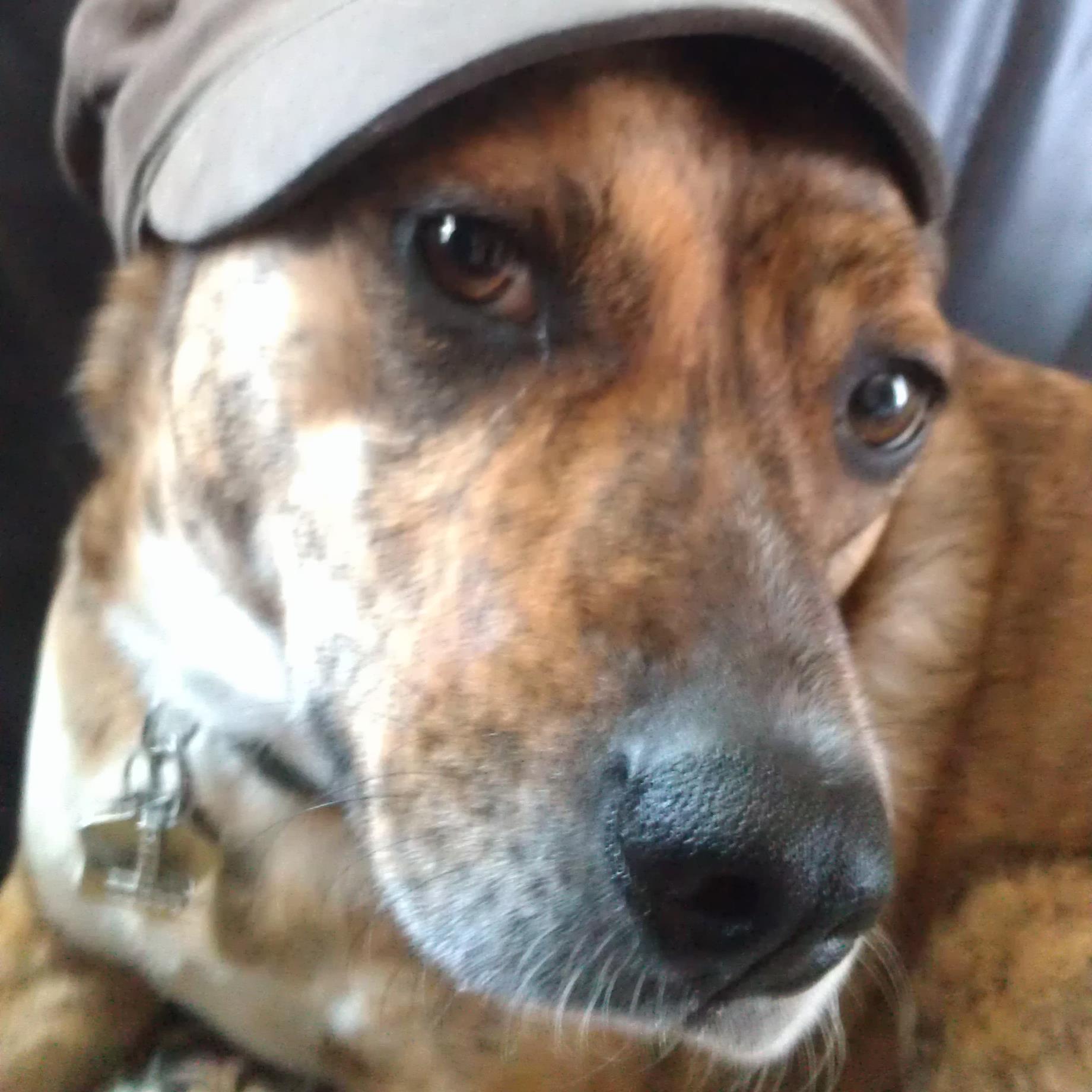 EDDYCARTOONS's profile picture. 