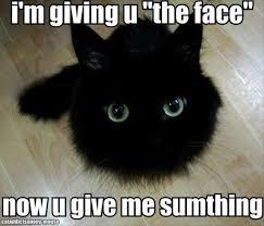 FunnyPictures