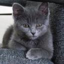 byong lee - @byonglee0304 - Twitter