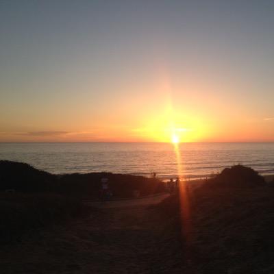 kleptojota's profile picture. Athletic Agent