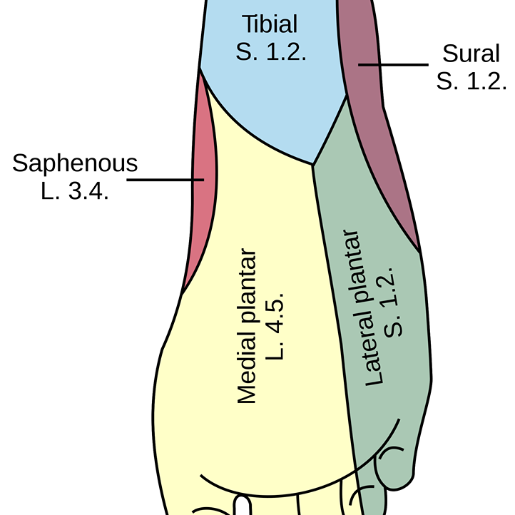 rdeep4r221's profile picture. cure for sure