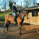 Katie ferns - @KatieLuceLouise - Twitter