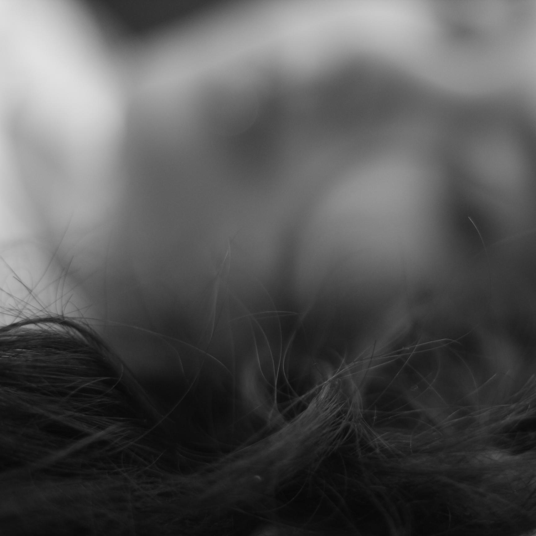 MrsZ_Khan's profile picture. 