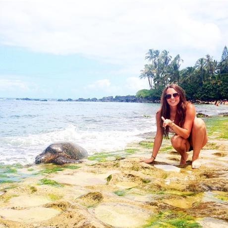 I am going on a volunteer mission to Bali in May 2015 to work with the endangered green sea turtles, click the link to learn more or donate! Save the turtles!