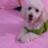 mirioca20's profile image