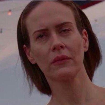 Tributo, faço parte da ceita de jennifer lawrence