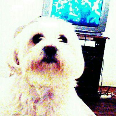 josiane_perrin's profile picture. 