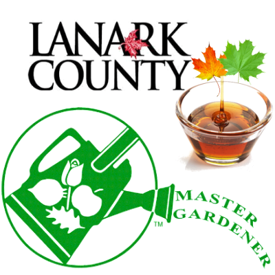Lanark County Master Gardeners have been active in this area since 1987.  We are experienced gardeners with Horticulture training.  Send us your questions.