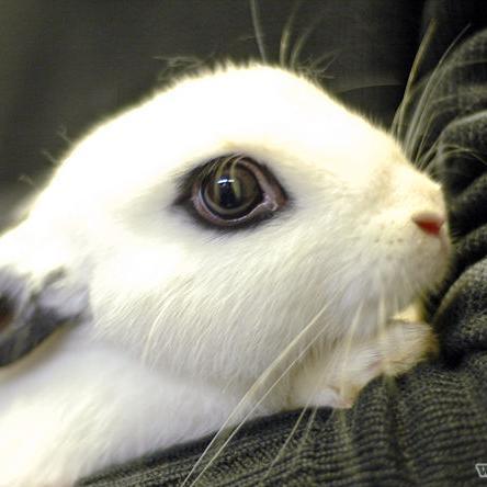 asaisou96's profile picture. When you stop trying to change others and work on changing yourself, your world changes for the better.