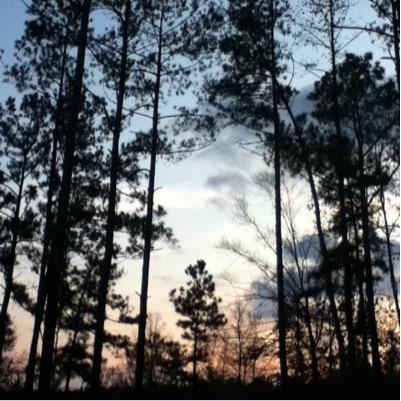 _Romany_Angel_'s profile picture. Here's To You And Who Ever Hold's My Baby Blue Tonight