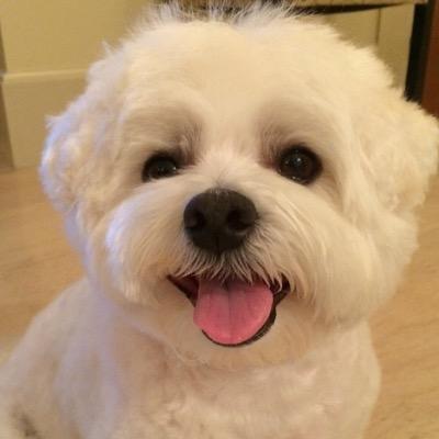 JuzHapiThots's profile picture. It's feels good to be alive! :)