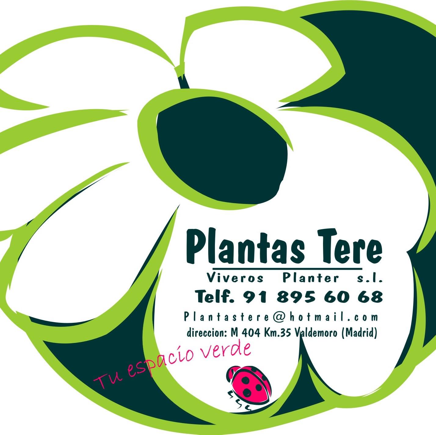 Tu espacio verde 91 895 60 68