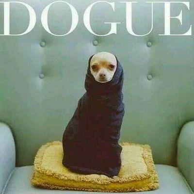 BriarOlivia's profile picture. 