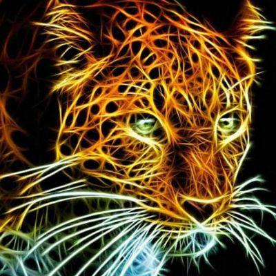 phillipssf02's profile picture. 