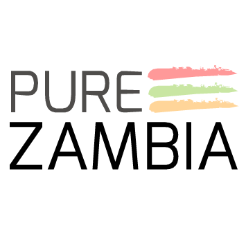 pureZAMBIA's profile picture. “Instead of sitting on the sidelines and watching the game, play the game. That’s experiential travel.” - Maureen Valentine