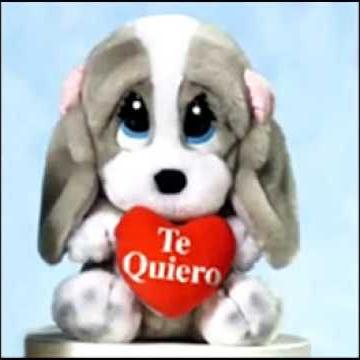 TunayZulia's profile picture. 