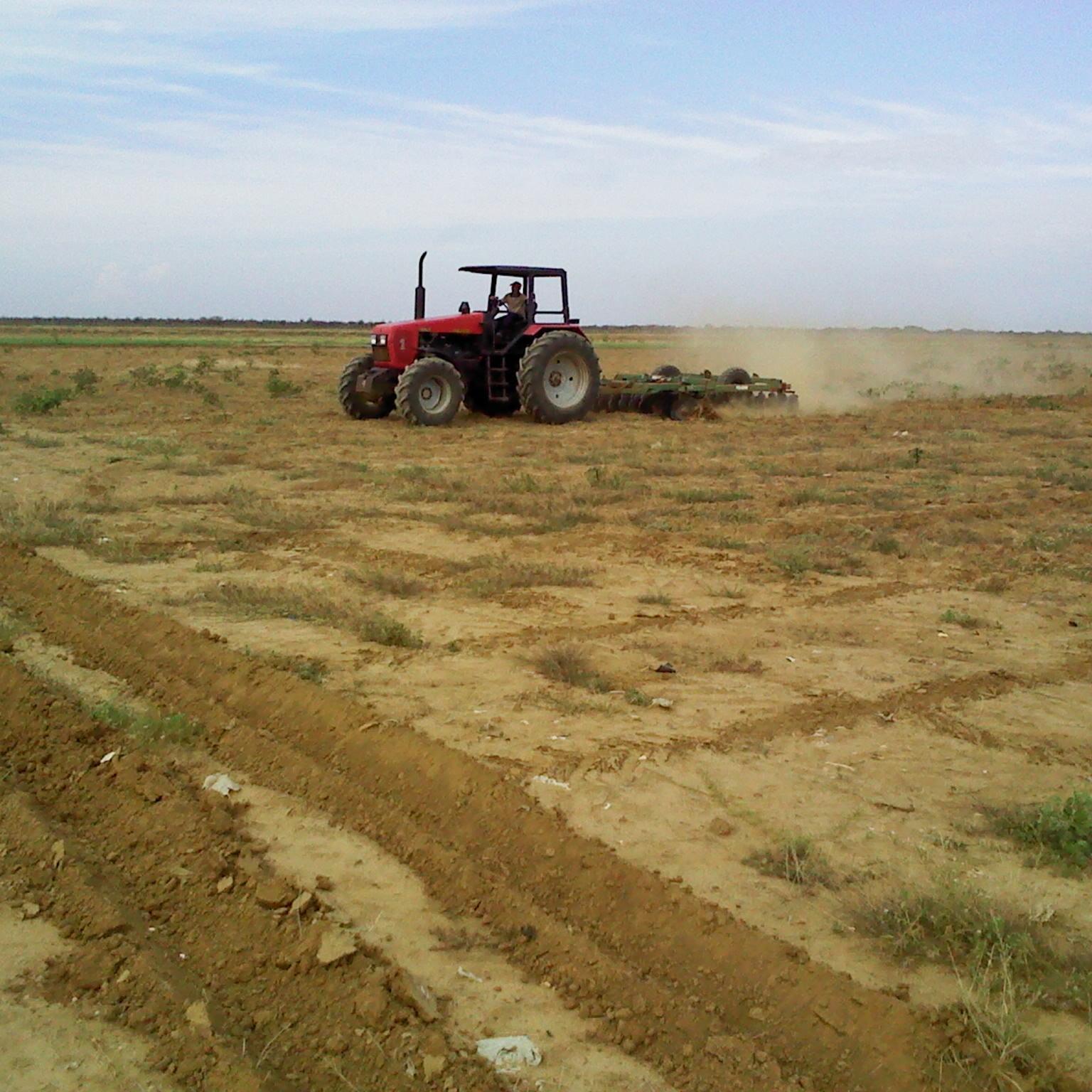 DomingoOrtizD's profile picture. 