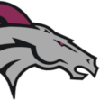 South Ottawa Mustang (@sottawamustangs) 's Twitter Profile