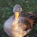 Tracey Magee - @tmageemx5 - Twitter