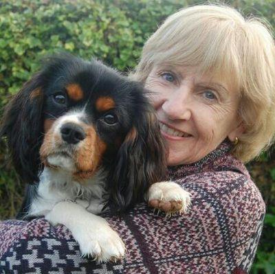 jgurnham1's profile picture. 