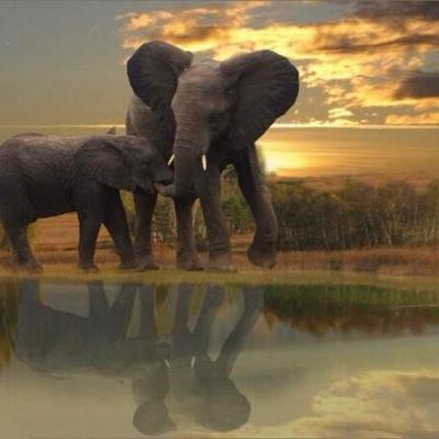 skv_3's profile picture. 