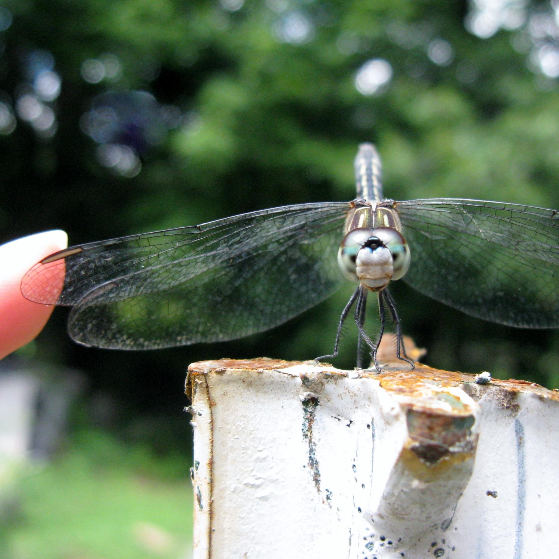 ReginasEtsy's profile picture. 