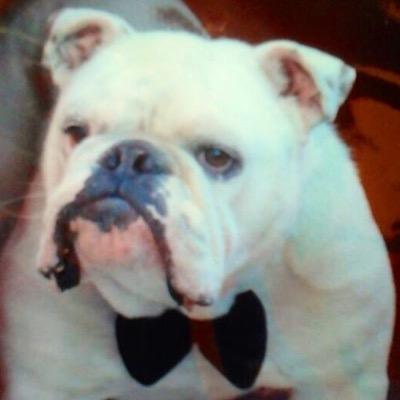 juandavila1001's profile picture. 