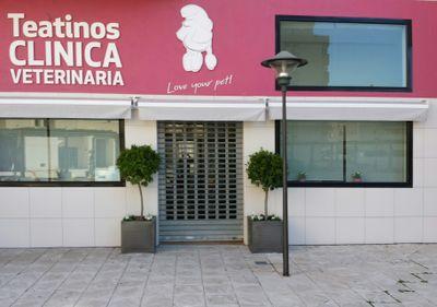 Desde el 2001 cuidamos la salud de tus mascotas