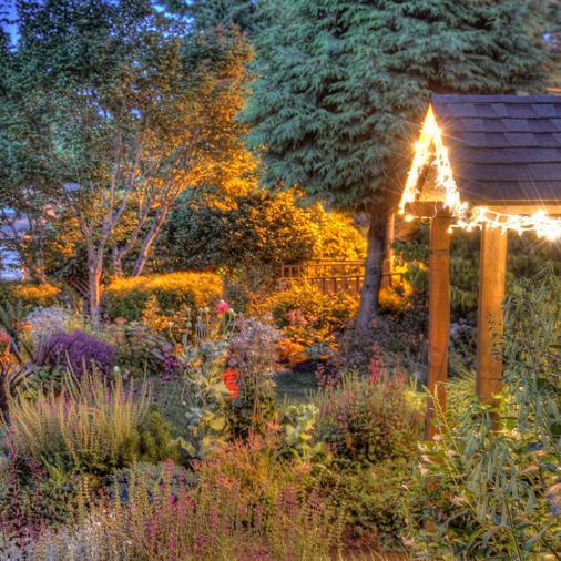 SafeHouseNW's profile picture. 