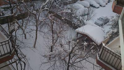 eranoran's profile picture. 