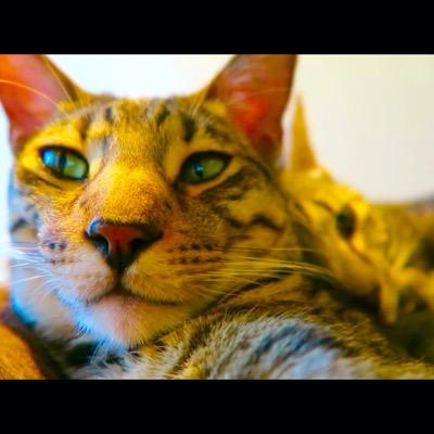 TomasMMM's profile picture. 