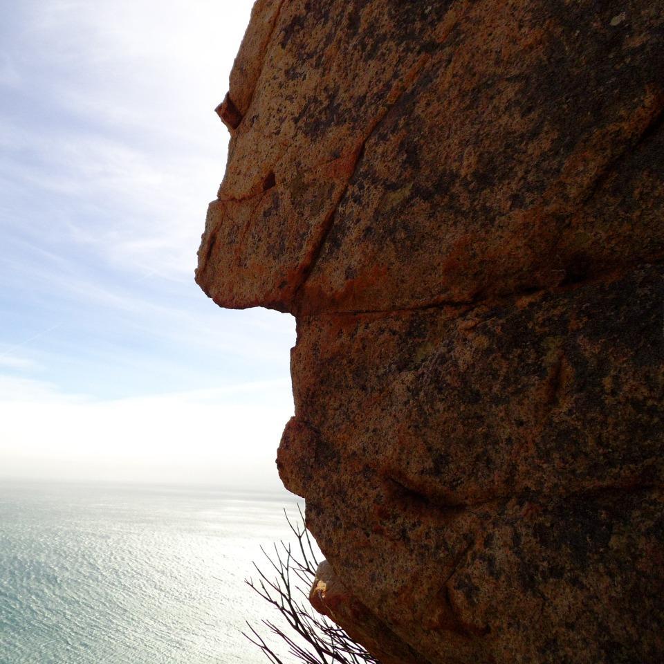 raquelpox's profile picture. 