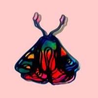 Linda Willemszoon (@moth_bzzz) 's Twitter Profile