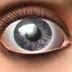 John Incog (@13r377) Twitter