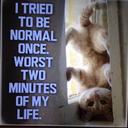 Johnny Hooper - @hooper_johnny - Twitter