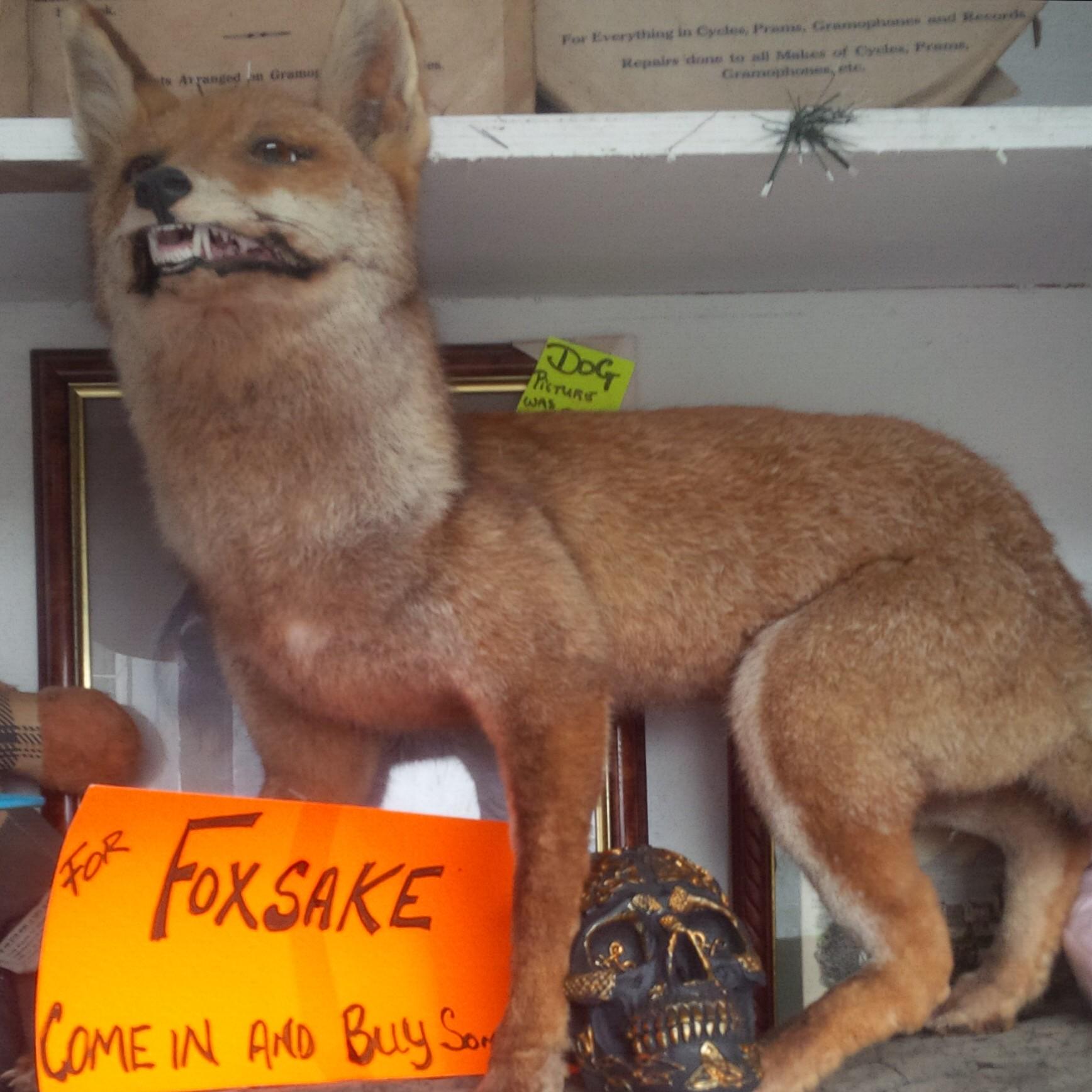 ownieoneill's profile picture. 