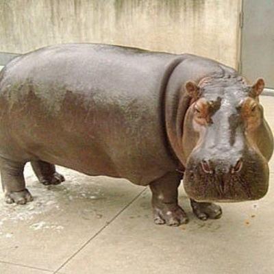 banbanbaba's profile picture. 