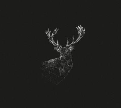 Big bucks and muddy trucks, its a NorthWest thing