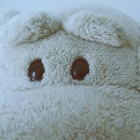 Mirjana M. (@selena_oloriel) 's Twitter Profile Photo Mirjana M. (@selena_oloriel) 's Twitter Profile Photo