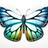 Lepinette_C's profile image
