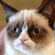 crabbyinbcs's profile picture. 