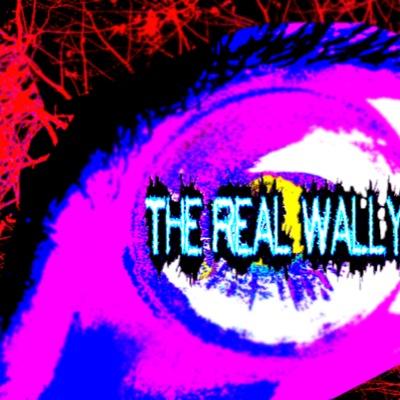 youtube channel=The Real Wally•snapchat name=Itswallyyy•Main Gt= OMG Itzz Wallyy•ultimate cod player•(will follow back and sub)
