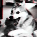 Мария - @mariya_wolf - Twitter